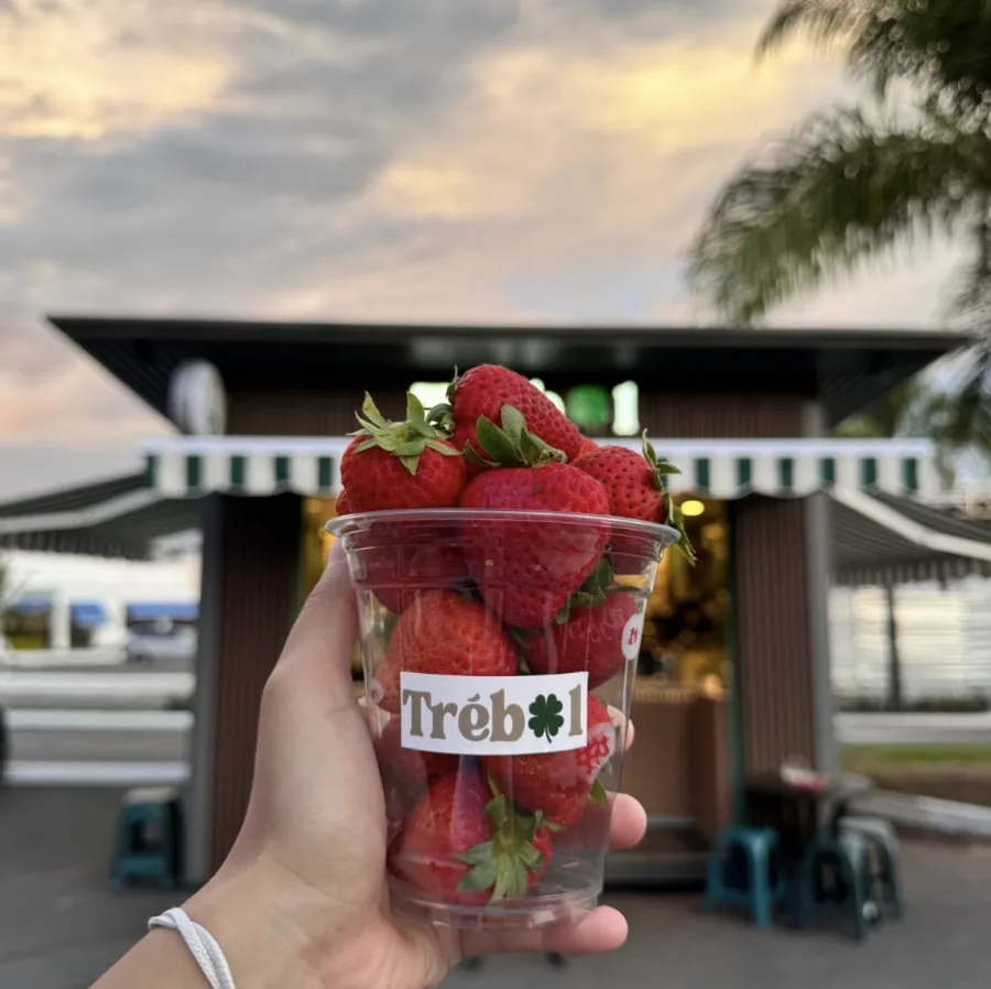 Vaso de fresas frente al kiosko de Trébol